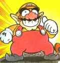 9146697-wario