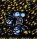 504 KB