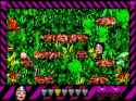 163 KB