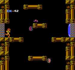 17 KB
