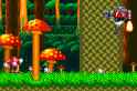 13 KB