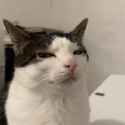 35 KB