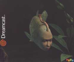 202 KB