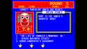224 KB