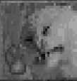 2 KB