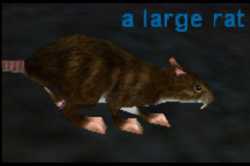 327 KB