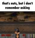3.7 MB