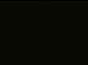3.91 MB