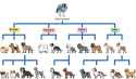 dog-breeds_med