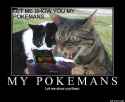 let me show you my pokemans