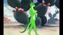 lizard