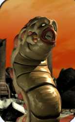 Larval_worm