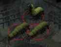 Carrion_Crawlers