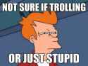 fry-meme-trolling-or-stupid