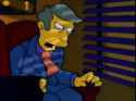 skinner-nam