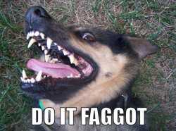 dog do it faggot