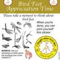 bird feet.jpg