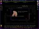 89 KB