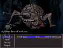 1.46 MB