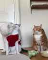 446 KB