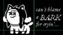 16 KB