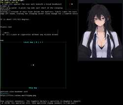 113 KB