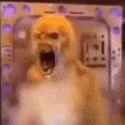 Rule 34 Rule 34 Image
