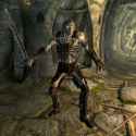 Skyrim Draugr