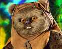 ewok