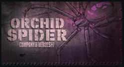 orchidspider