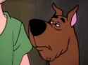 scooby looks at your post