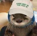 otter 274