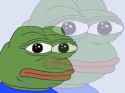frog frog