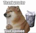 thank-you-for-your-opinion