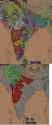 TF18 delhi dissolution map