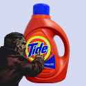 How quickly the Tide turns!