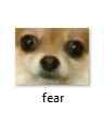 fear