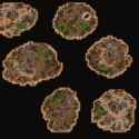 Culling_the_Weak_map_fullauto