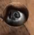 1733744977152951