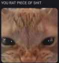 1748310612227763
