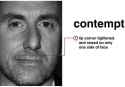 Contempt 1