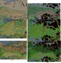 TM20 climate topography vegetation old new