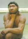thinking caveman