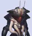 Arthropoid_massive_15