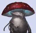 Fungoid_11