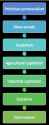 stages of civilization