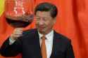 smug xi