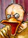 duck