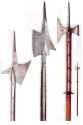 Halberd