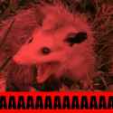 AAAAA